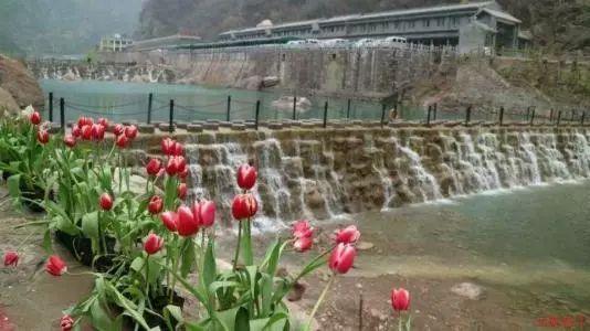 银河中动物逃生