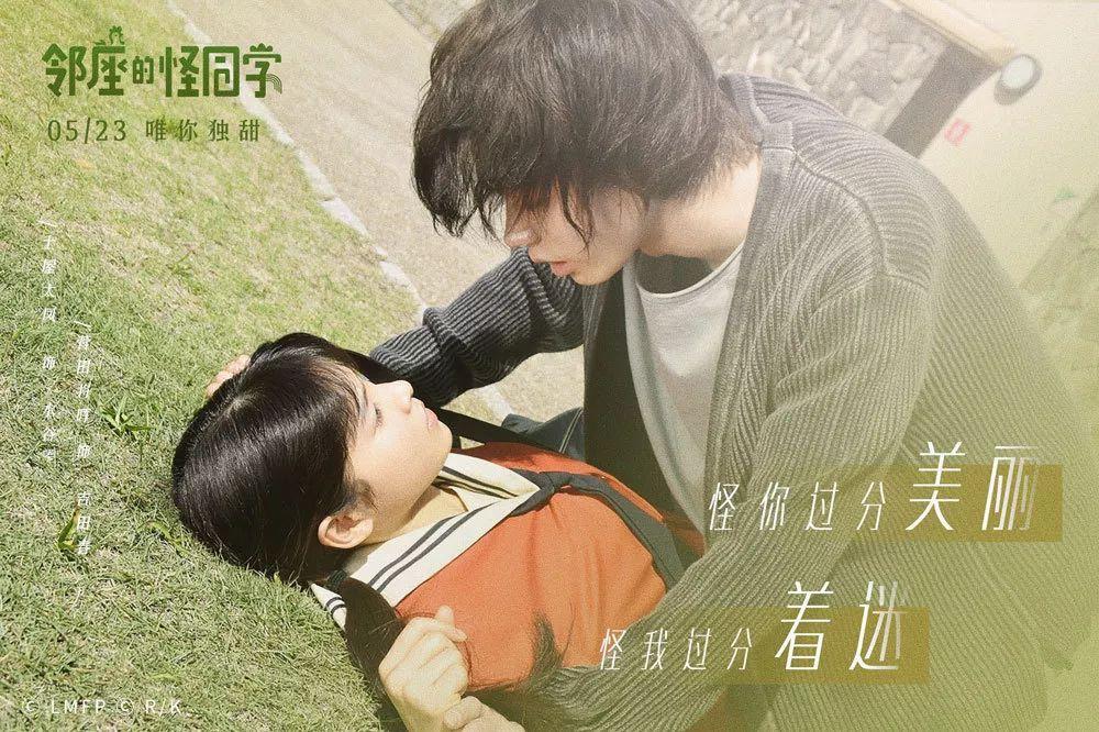 卡哇伊拳击手