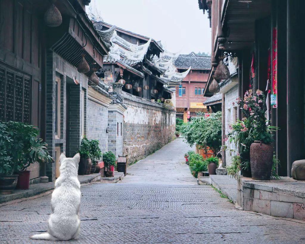 皇家之秘